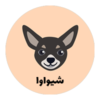 chihuahua icon full color