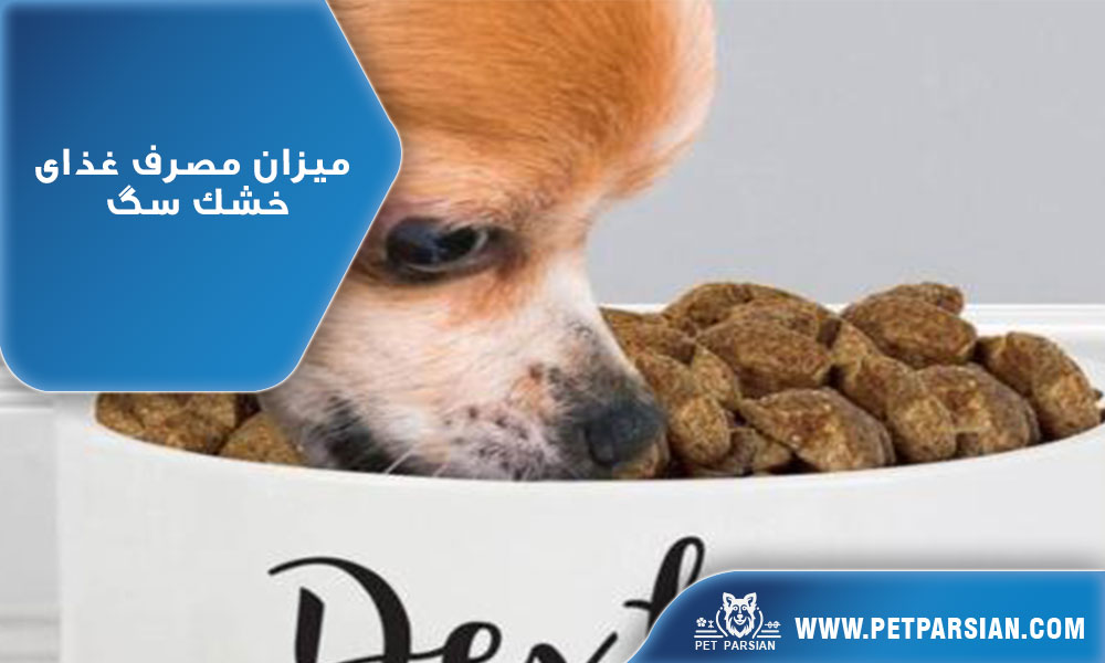 میزان مصرف غذای خشک سگ
