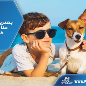 بهترین نژادهای مناسب برای خانواده