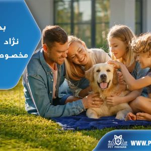 بهترین نژاد سگ مخصوص خانواده ما
