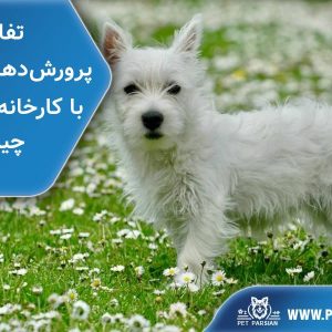 compare dog breeders & puppies company