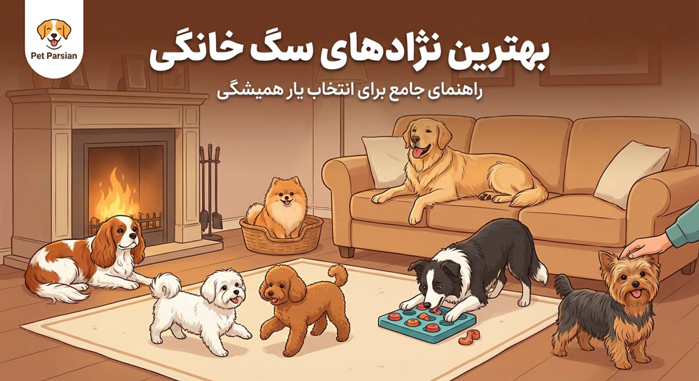 SelectDogForHome