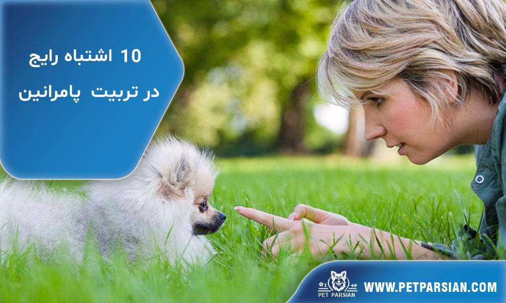 ۱۰ اشتباه رایج در تربیت پامرانین