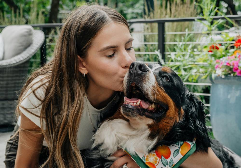 آیا سگها میتوانند احساسات صاحبشان را درک کنند؟