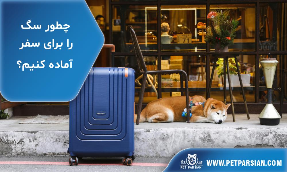 چطور سگ را برای سفر آماده کنیم؟