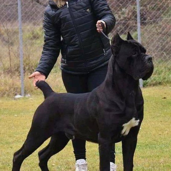 photo 1 2025 11 02 09 36 28