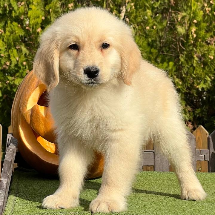 photo 4 2025 11 02 09 39 48