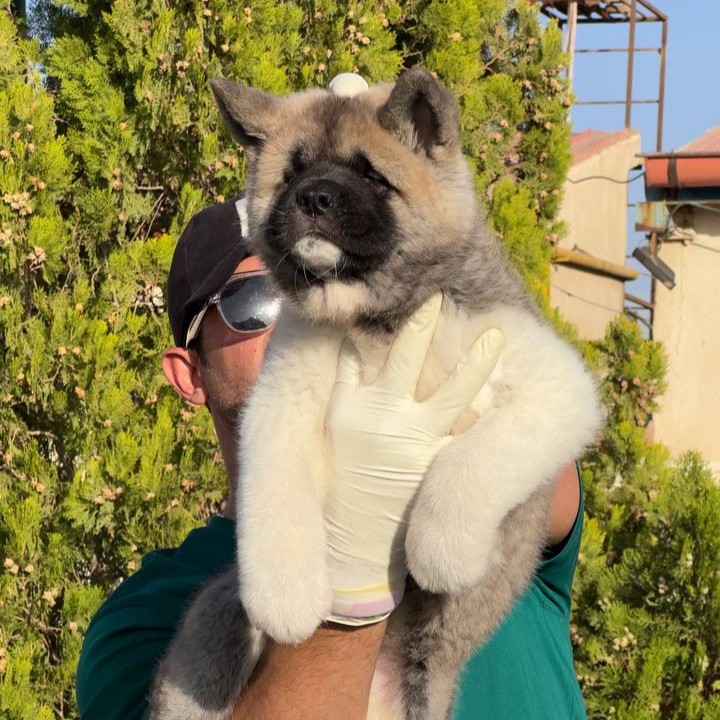 photo 7 2025 11 02 09 39 25