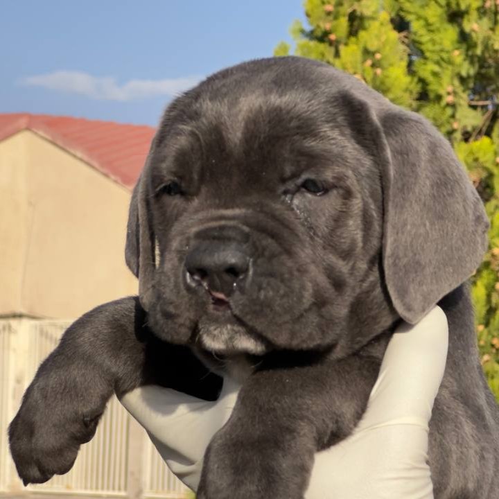 photo 8 2025 11 02 09 37 33