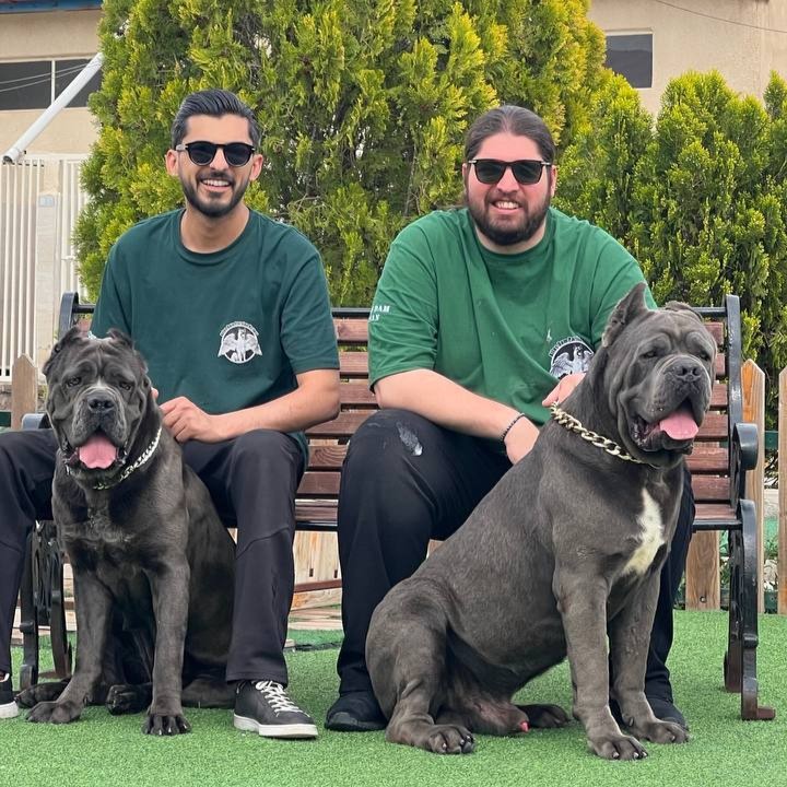 photo 8 2025 11 02 09 38 45 1