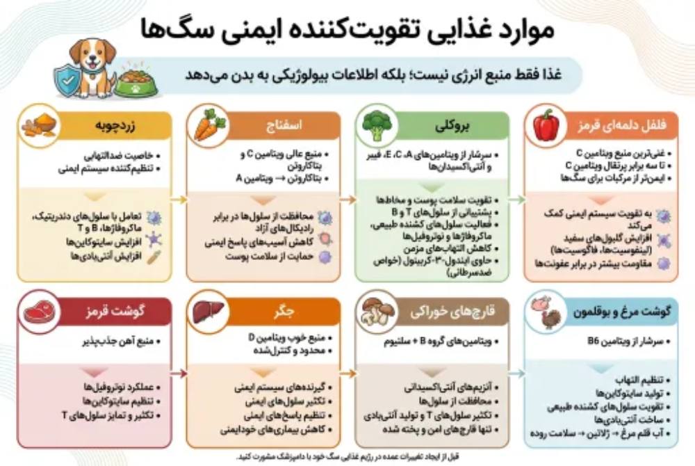 بهترین غذاها برای تقویت سیستم ایمنی سگ ها