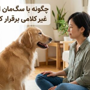 چگونه با سگ_مان ارتباط غیر کلامی برقرار کنیم