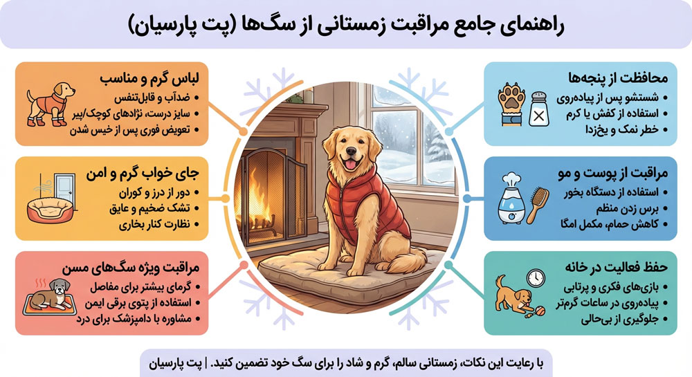 Infogrraph Dog
