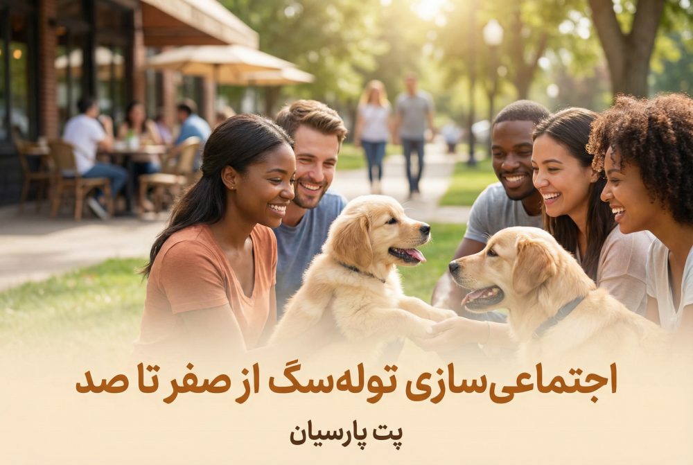 اجتماعی_سازی توله_سگ از صفر تا صد