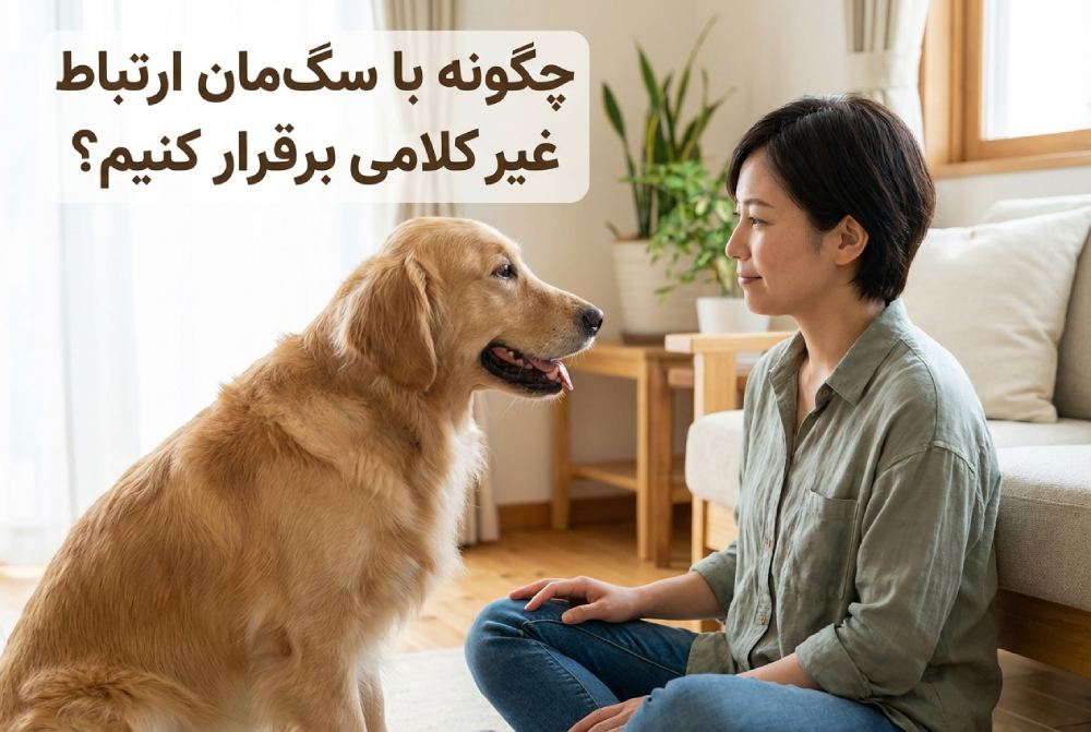 چگونه با سگ_مان ارتباط غیر کلامی برقرار کنیم